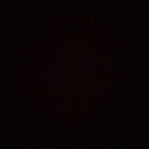 Meet your Posher, Kiara